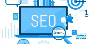 Search Engine Optimization Services