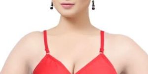 Lycra Net Bra