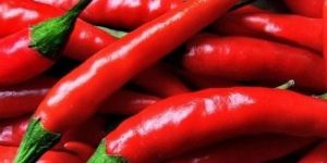 Fresh a Grade Red Chilli