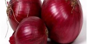 Fresh Bhagva Red Onion