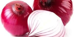 Fresh Big Onion