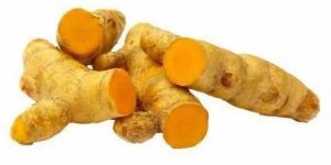 Fresh Turmeric Finger