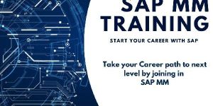 SAP MM Training Institute
