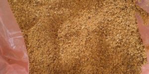 Maize DDGS