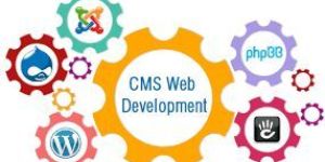 Cms Development Services