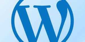 Wordpress Website Design Services