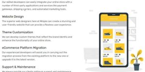 Ecommerce Development Services