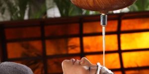 Ayurvedic Hair Treatment Services