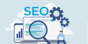 Freelance SEO Service