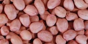 140/160 Bold Groundnut Kernel
