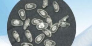 Small Metal Nose Pad