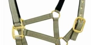 Horse Head Collar