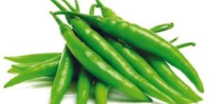 Green Chilli