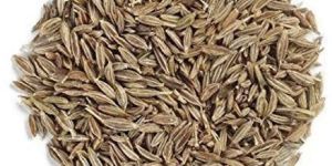1836 Cumin Seeds