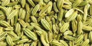 1836 Fennel Seeds