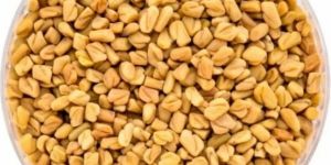 1836 Fenugreek Seeds