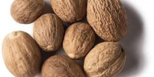 1836 Whole Nutmeg