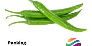 G4 Green Chilli