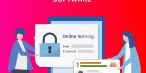 Aadhaar Enabled Payment System API