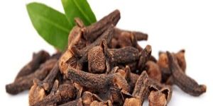 Cloves