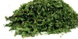 Vacuum Dehydrated Coriander Leaves