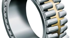 Double Row Cylindrical Bearing