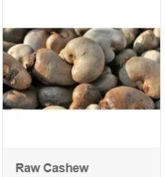 Raw Cashew
