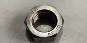 Stainless Steel Nut