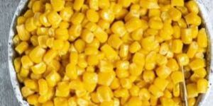 Organic Sweet Corn