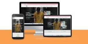 Website Development Services