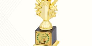 Promotional Trophy Printing Service