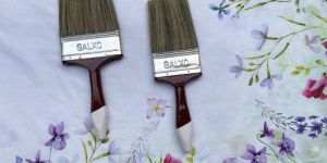 Everest Paint Brush