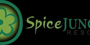 Spice Jungle Resort Munnar