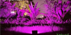 Yakura Solar Portable Solar Flood Light 100W RGB