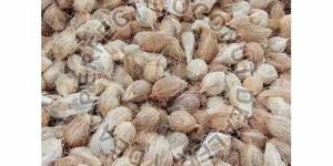 Dried Semi Husked Coconut