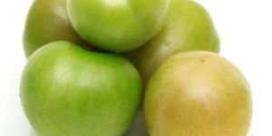 Fresh Green Tomato