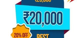 Basic Accounting Taxation Service