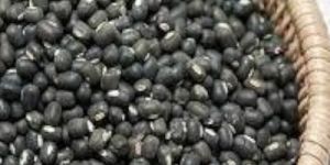 Black Urad Dal
