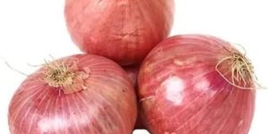 Fresh Pink Onion