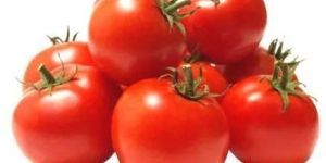 Fresh Red Tomato