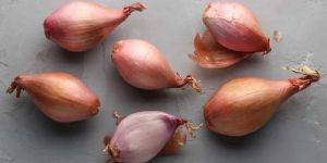 Fresh Shallot Onion