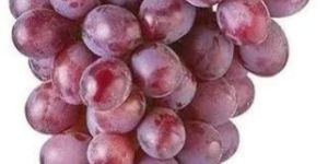 Red Crimson Grapes