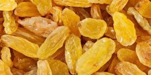 Yellow Long Raisins
