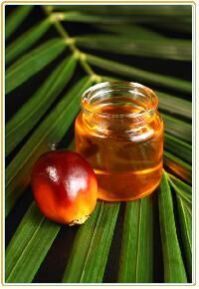 Palm Kernel Oil