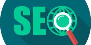 SEO Training