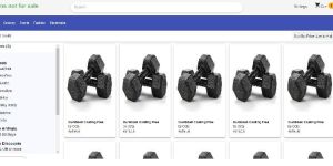 Website Deployment Services