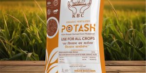 Organic Potash Powder