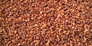 Brown Sesame Seeds