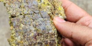 Sarki Pend Cotton Seed Oil Cake