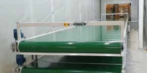 Flat Belt Conveyor